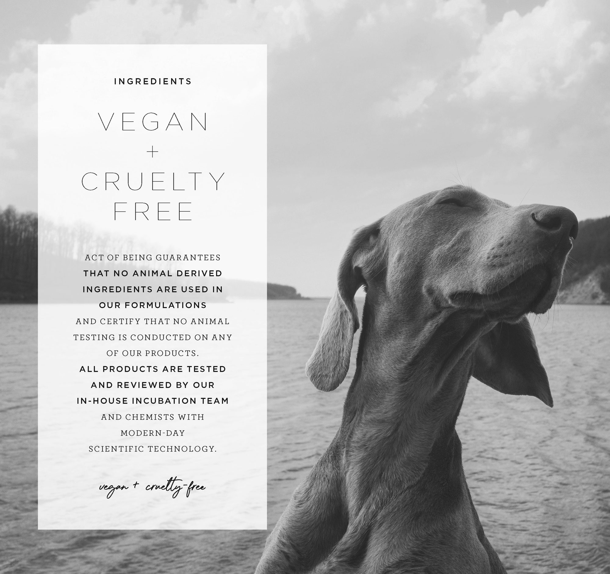 Brochure page: Vegan + Cruelty Free, with a dog by the water