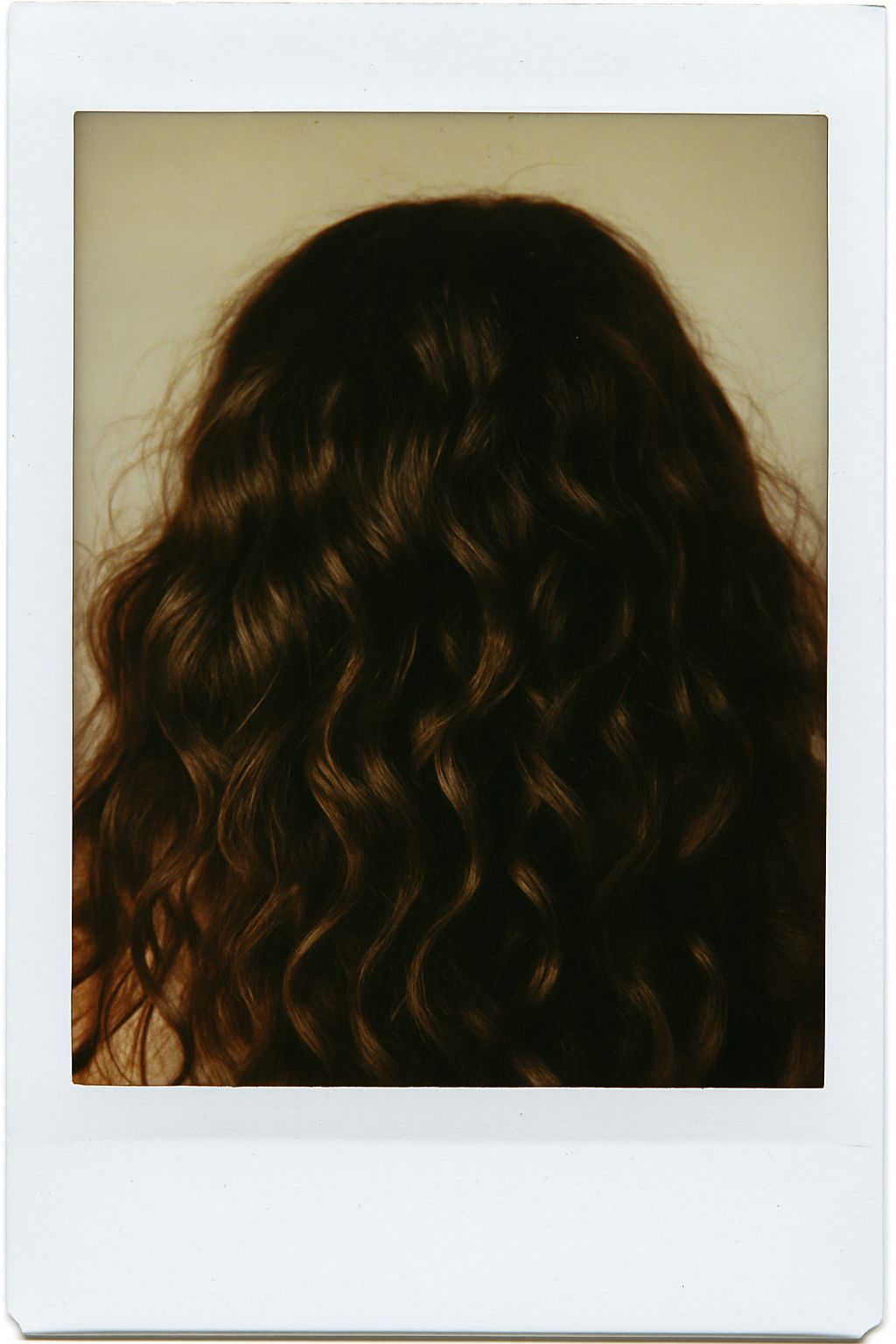 Function of Beauty, archive image 3