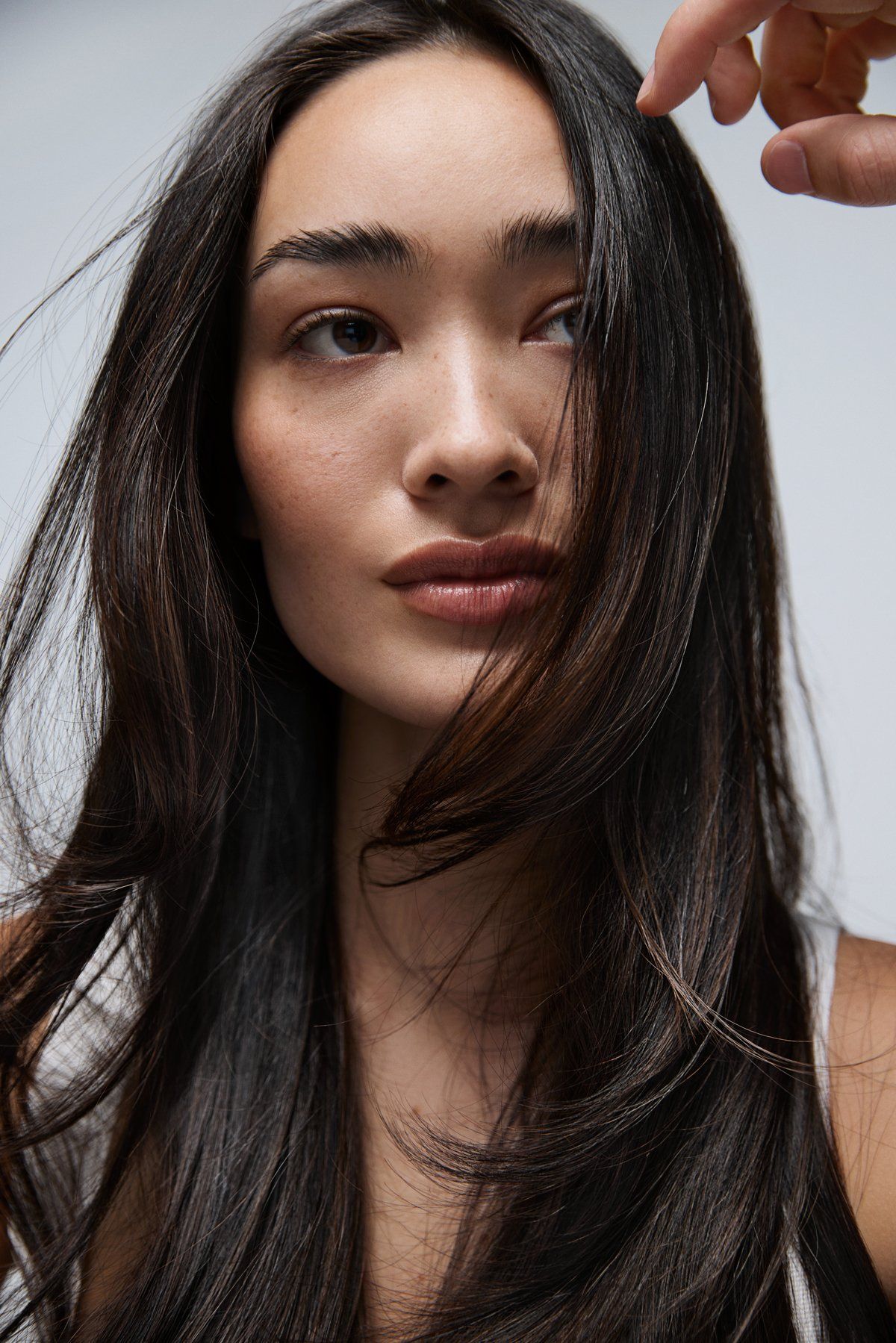 Olaplex, archive image 2