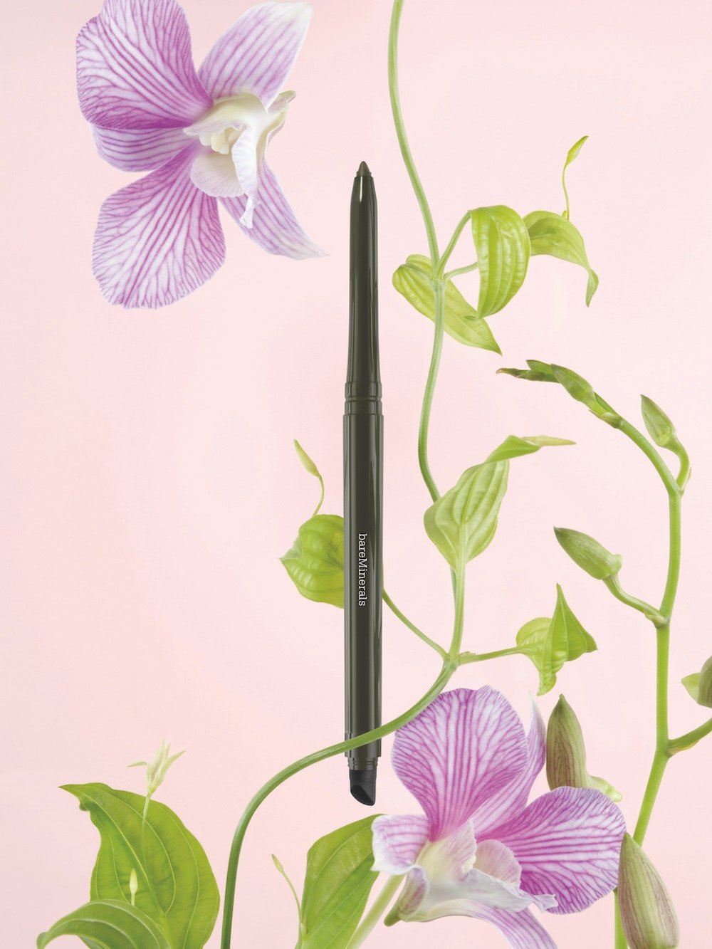 An agave green liner among orchids and vines on pink