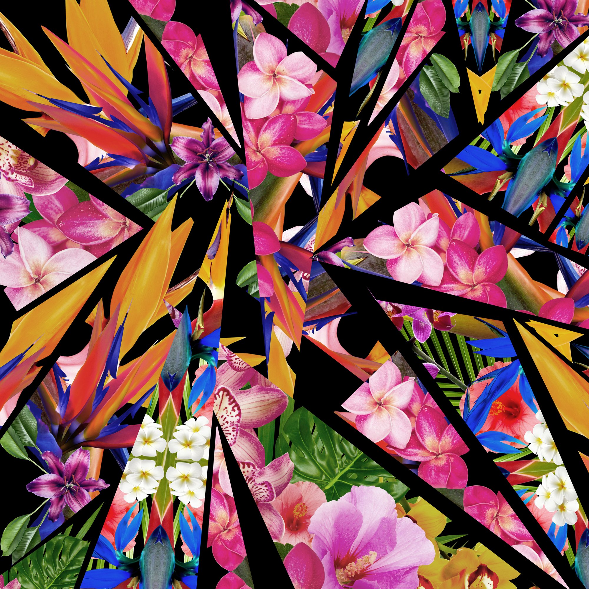 Orchids and birds of paradise broken into black shards