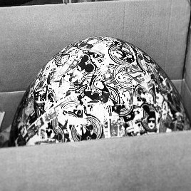 The egg packed in a box for delivery