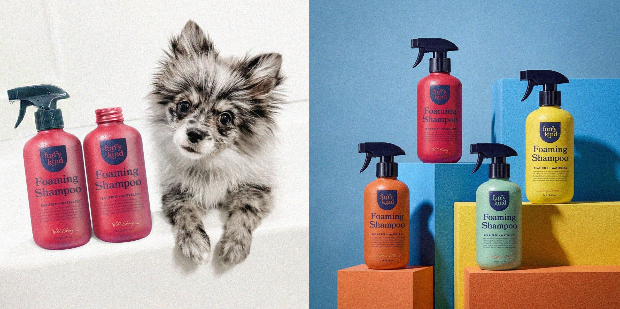A puppy in the tub beside red bottles, and the range stacked on colored blocks