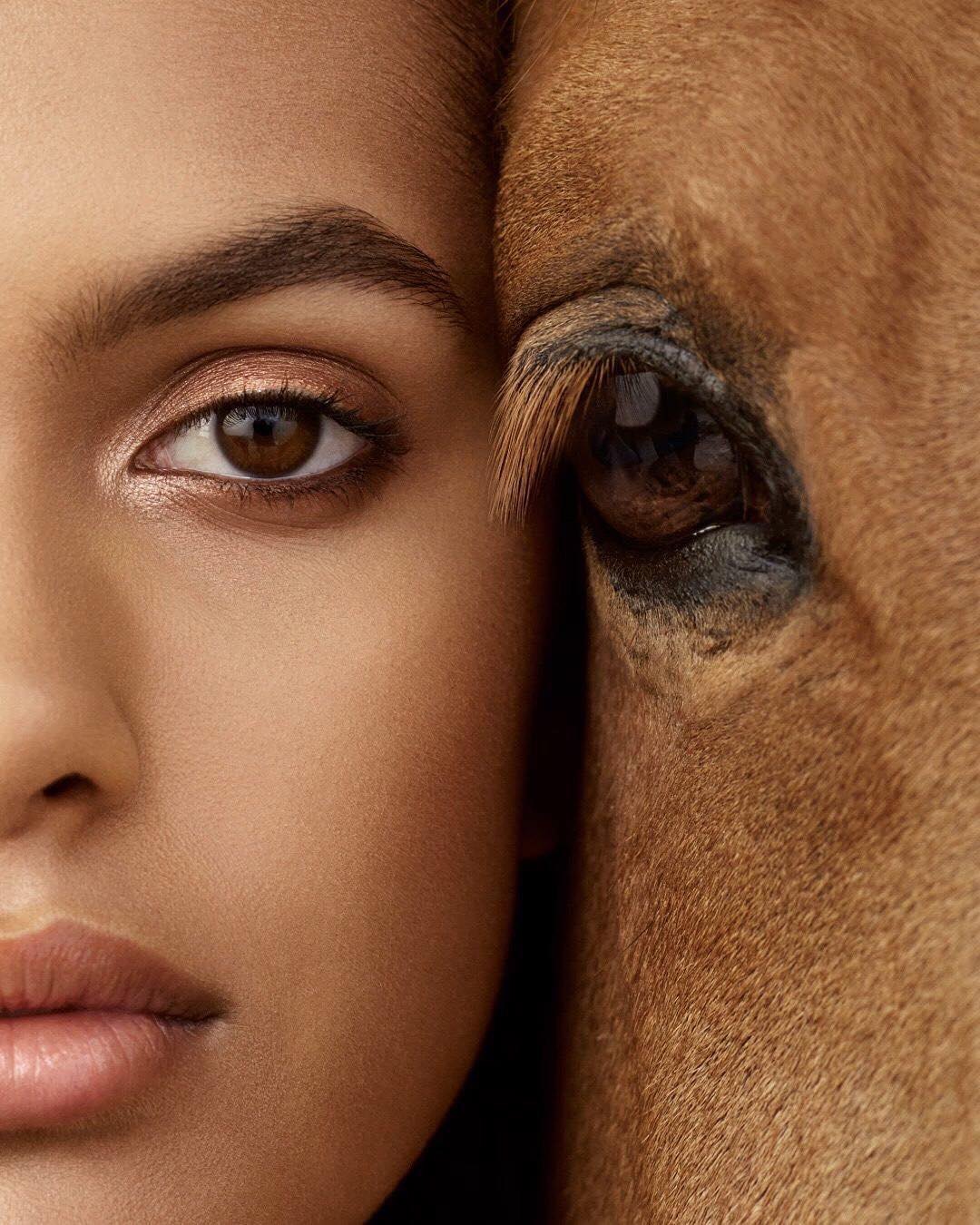 Portrait: a woman’s brown eye pressed against a chestnut horse’s eye