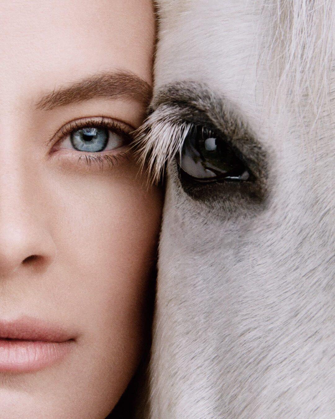 Portrait: a woman’s blue eye against a white horse’s eye