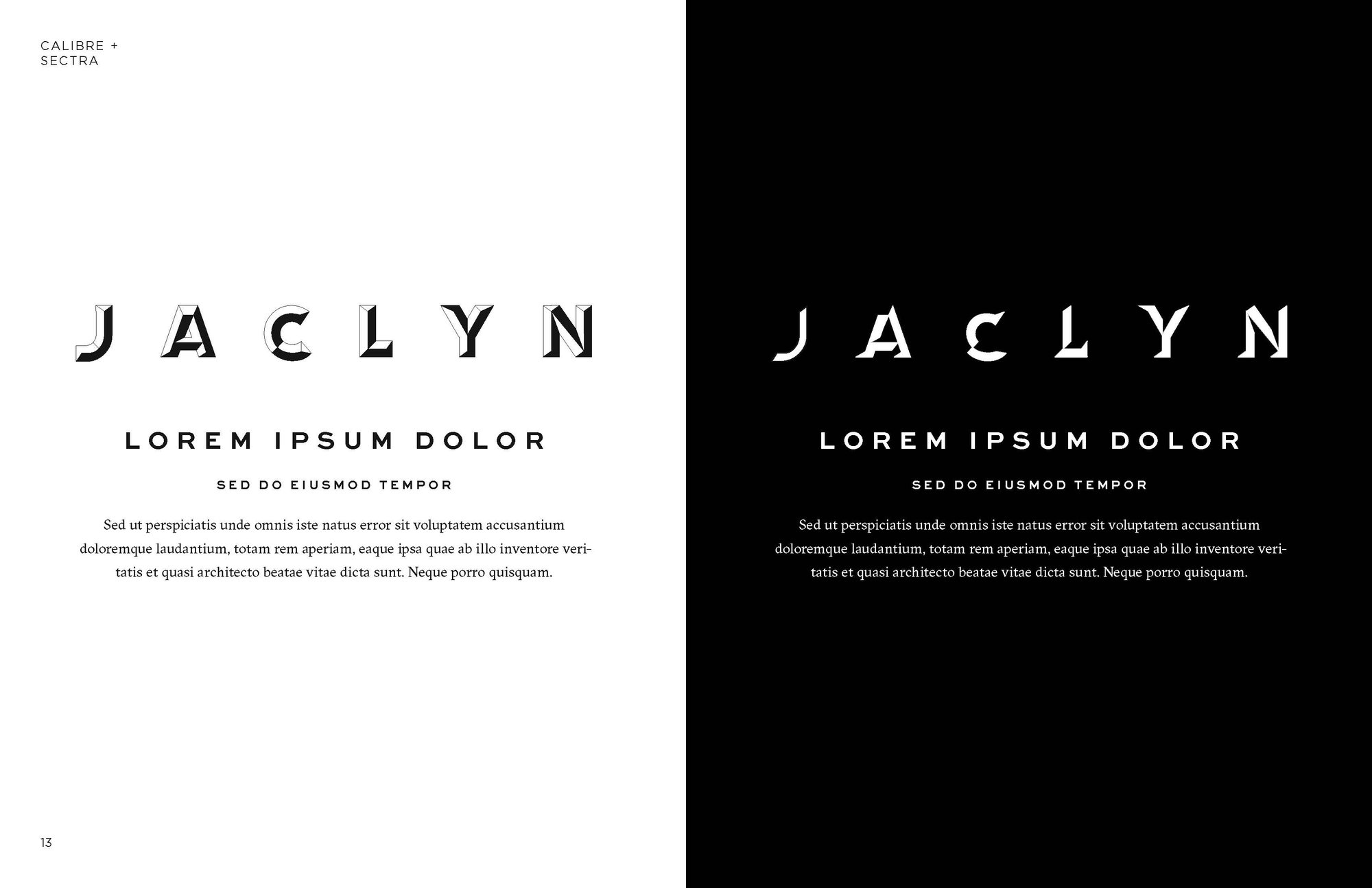 Jaclyn Cosmetics style guide: lockups