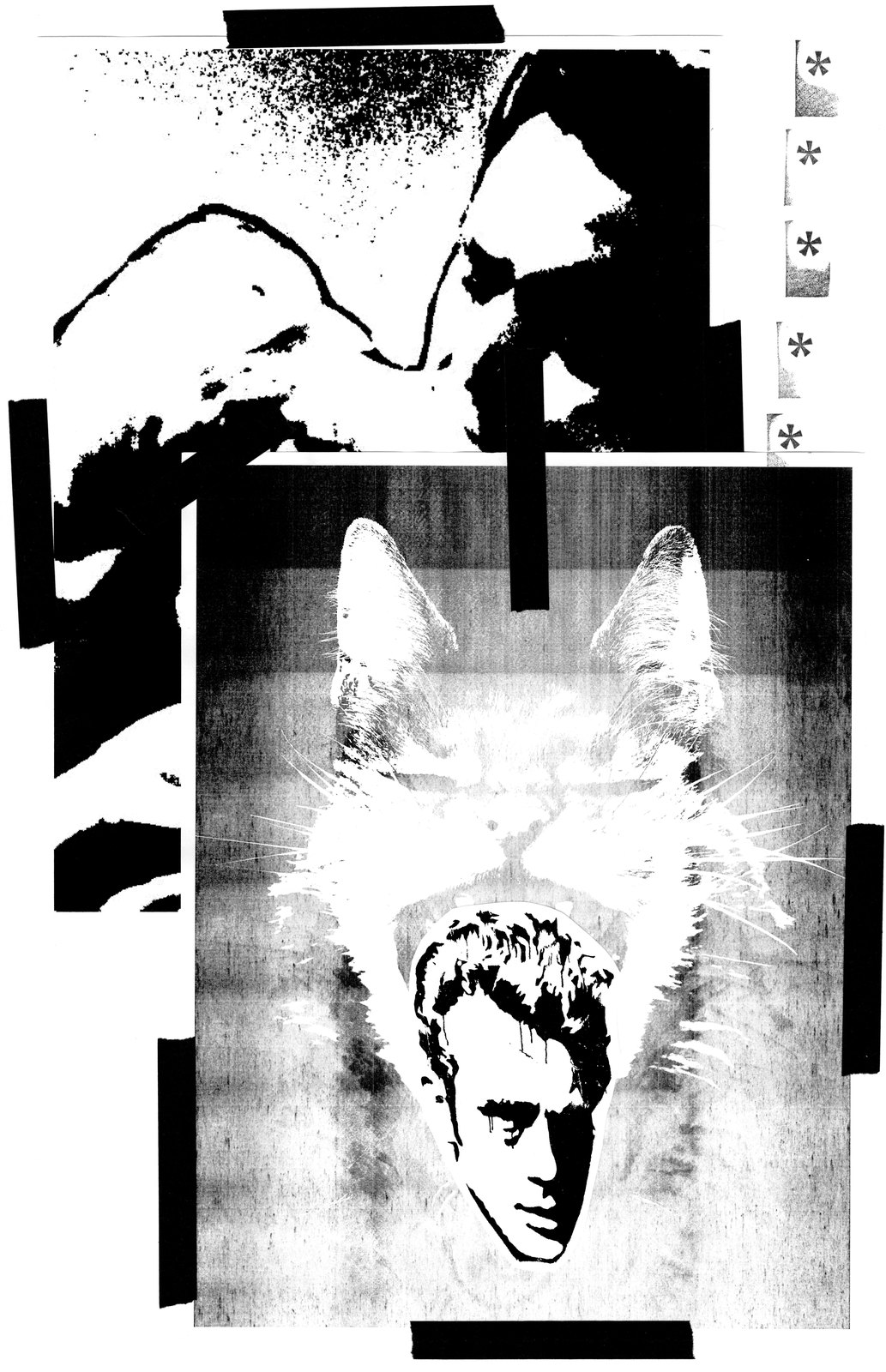 A cat and a face, layered and faded
