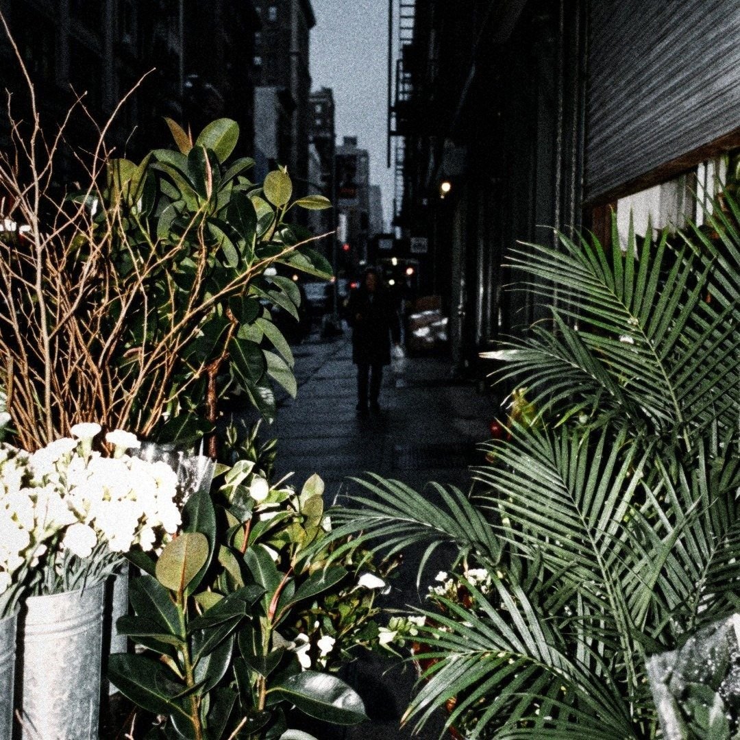 The flower district, palms on the sidewalk